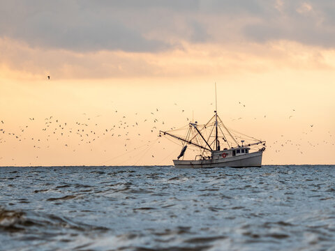 Fishing boats in a harbour at golden hour